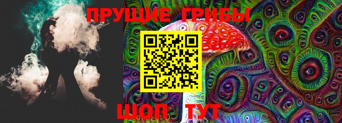 Псилоцибиновые грибы Psilocybe Назрань