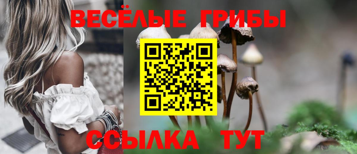 цены наркотик  Вход с VPN  Назрань  Галлюциногенные грибы мухоморы 